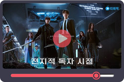 티비착_전지적독자시점